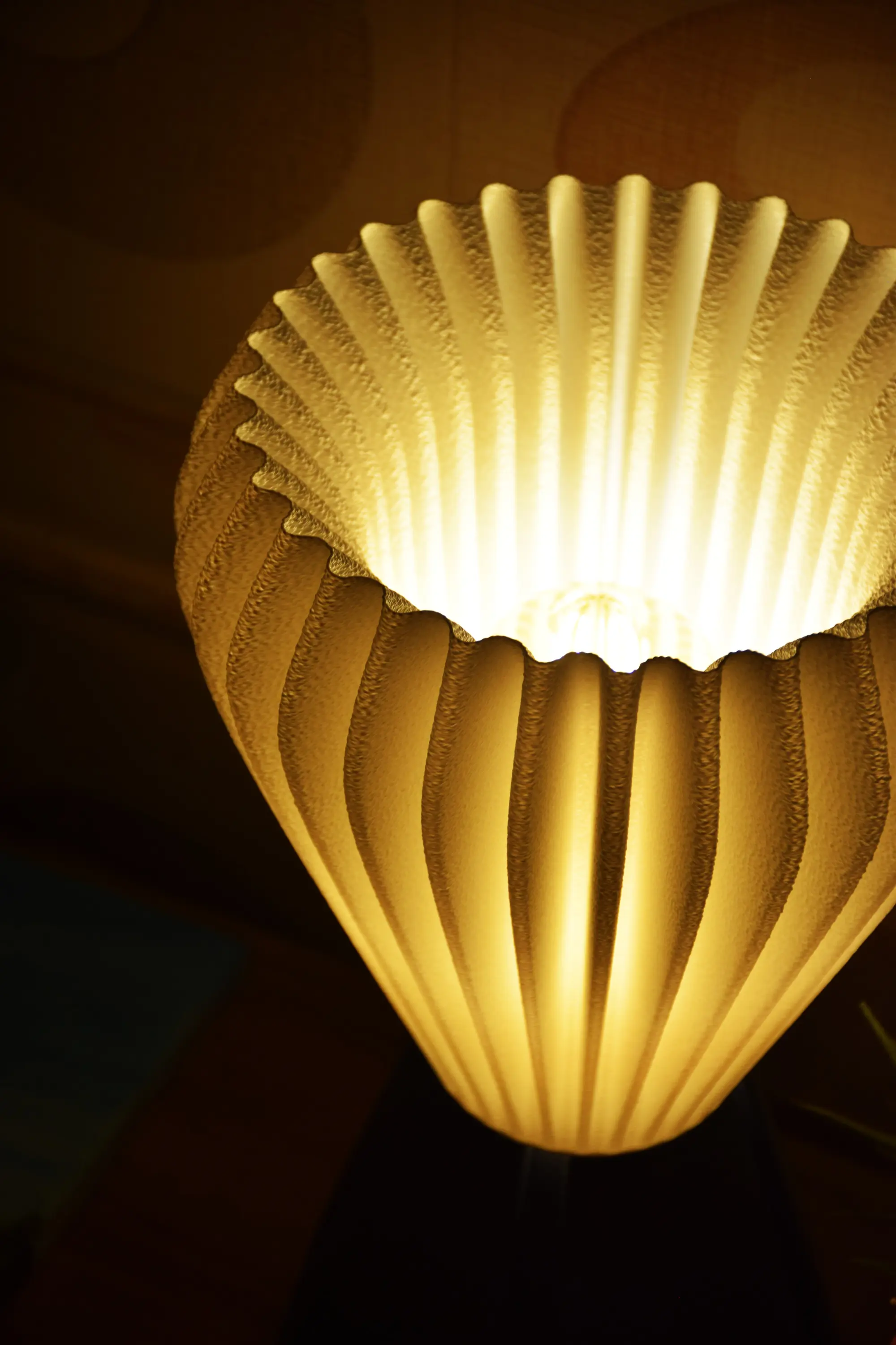 Designed to Shine